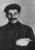 Обложка книги "Мы с товарищем Сталиным"