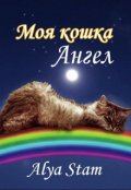 Обложка книги "Моя кошка ангел"