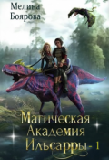 Обложка книги "Магическая академия Ильсарры 1"