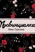 Обложка книги "Провинциалка"