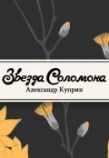 Обложка книги "Звезда Соломона"