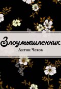 Обложка книги "Злоумышленник"