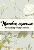 Обложка книги "Красавец мужчина"