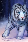 Обложка книги "Белый тигренок"