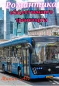 Обложка книги "Романтика общественного транспорта"
