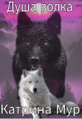Обложка книги "Душа волка"