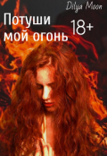 Обложка книги "Потуши мой огонь"