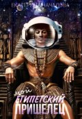 Обложка книги "Мой египетский пришелец"
