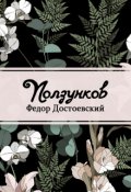 Обложка книги "Ползунков"