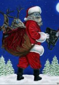 Обложка книги "Злобный Дед Мороз"