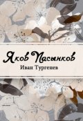 Обложка книги "Яков Пасынков"