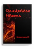 Обложка книги "Пламенная Инесса. "