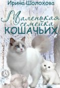 Обложка книги "Маленькая семейка кошачьих"