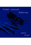 Обложка книги "Побег ночной бабочки "