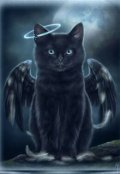 Обложка книги "Мой ангел-хранитель - Кошка."