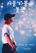 Обложка книги "Огни в небе Сеула"