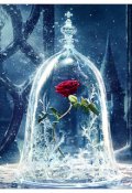 Обложка книги "Зимние цветы"