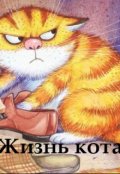 Обложка книги "Жизнь кота"