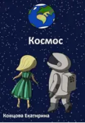 Обложка книги "Космос"