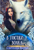 Обложка книги "В гостях у волка"