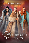 Обложка книги "Три девицы на севере"