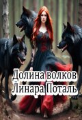 Обложка книги "Долина волков"