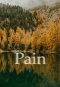Обложка книги "Pain"