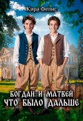 Обложка книги "Богдан и Матвей что было дальше"
