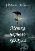 Обложка книги "Метка черного колдуна"