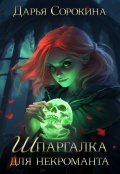 Обложка книги "Шпаргалка для некроманта"