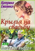 Обложка книги "Крылья на свадьбу, или Когда нет выбора"