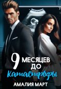 Обложка книги "Девять месяцев до катастрофы"