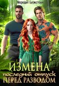 Обложка книги "Измена. Последний отпуск перед разводом"