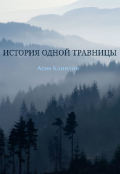 Обложка книги "История одной травницы"