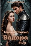 Обложка книги "Темная сторона Вадара: Выбор"