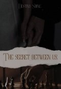 Обложка книги "Секрет между нами"