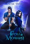 Обложка книги "Гром и Молния"