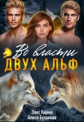 Обложка книги " Во власти двух альф"