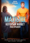 Обложка книги "Малыш, который живет под крышей"