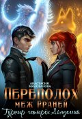 Обложка книги "Переполох меж Граней. Турнир четырёх академий"