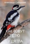 Обложка книги "Как Зовут ТЁтю У Дятла"