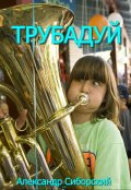 Обложка книги "Трубадуй"