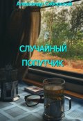 Обложка книги "Случайный Попутчик"