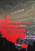 Обложка книги "Попаданец  в коронавирус-вселенная "