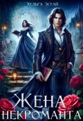 Обложка книги "Жена некроманта"