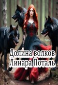 Обложка книги "Долина волков"