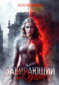 Обложка книги "Забирающий Души"