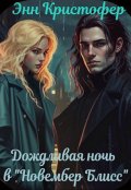 Обложка книги "Дождливая ночь в "Новембер Блисс""