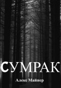 Обложка книги "Сумрак"