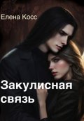 Обложка книги "Закулисная связь"